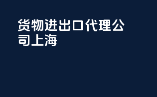 货物进出口代理公司上海