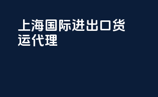 上海国际进出口货运代理