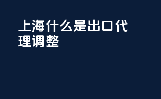 上海什么是出口代理调整