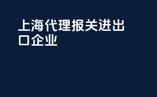 上海代理报关进出口企业