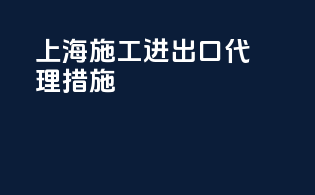上海施工进出口代理措施