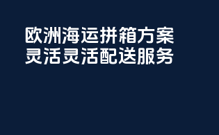 欧洲海运拼箱方案，灵活灵活配送服务