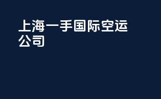 上海一手国际空运公司