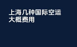 上海几种国际空运大概费用