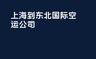 上海到东北国际空运公司