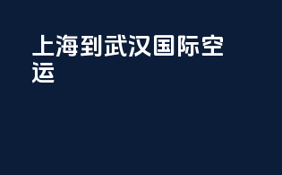 上海到武汉国际空运