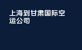 上海到甘肃国际空运公司