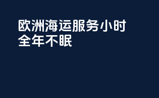 欧洲海运服务，小时全年不眠！