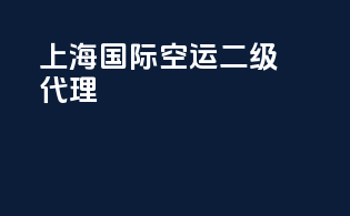 上海国际空运二级代理