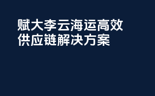 赋大李云海运：高效供应链解决方案