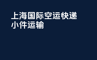 上海国际空运快递小件运输
