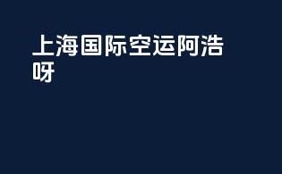 上海国际空运阿浩呀