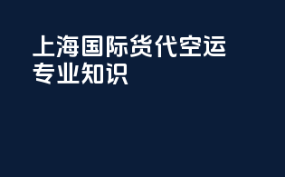 上海国际货代空运专业知识