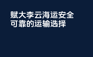 赋大李云海运：安全可靠的运输选择