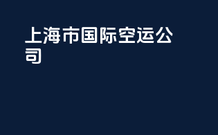 上海市国际空运公司