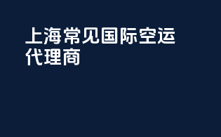 上海常见国际空运代理商