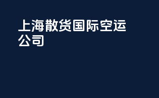上海散货国际空运公司