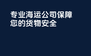 专业海运公司，保障您的货物安全