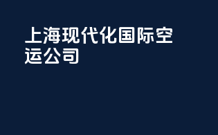 上海现代化国际空运公司