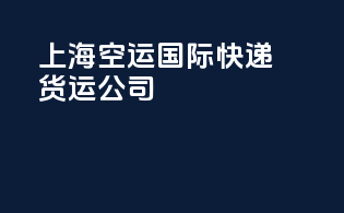 上海空运国际快递货运公司