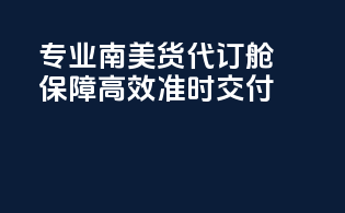 专业南美货代订舱，保障高效准时交付
