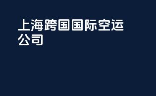 上海跨国国际空运公司