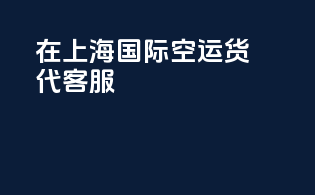 在上海国际空运货代客服