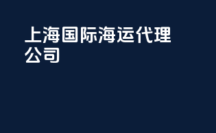 上海 国际海运代理公司