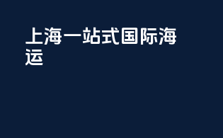 上海一站式国际海运