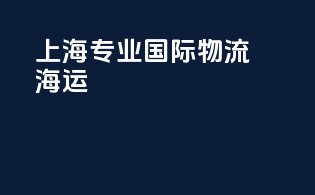 上海专业国际物流海运
