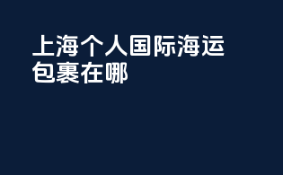 上海个人国际海运包裹在哪