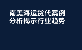 南美海运货代：案例分析揭示行业趋势