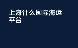 上海什么国际海运平台