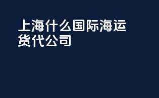 上海什么国际海运货代公司