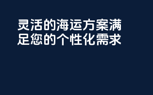 灵活的海运方案，满足您的个性化需求