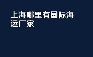 上海哪里有国际海运厂家