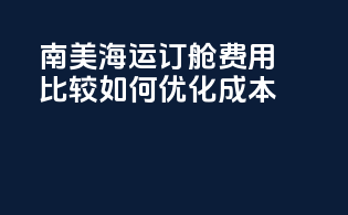 南美海运订舱费用比较：如何优化成本