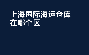上海国际海运仓库在哪个区