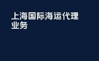 上海国际海运代理业务
