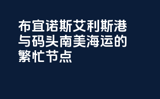 布宜诺斯艾利斯港与码头：南美海运的繁忙节点