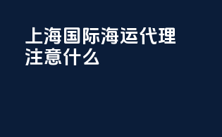 上海国际海运代理注意什么
