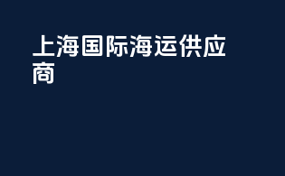 上海国际海运供应商