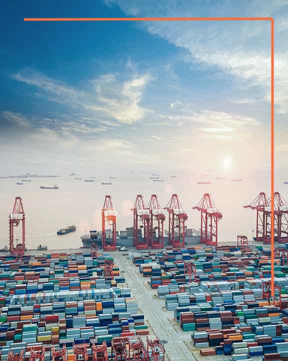 进口代理服务流程