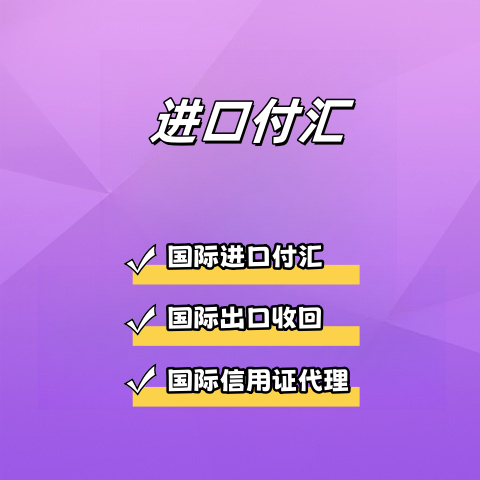 进口付汇